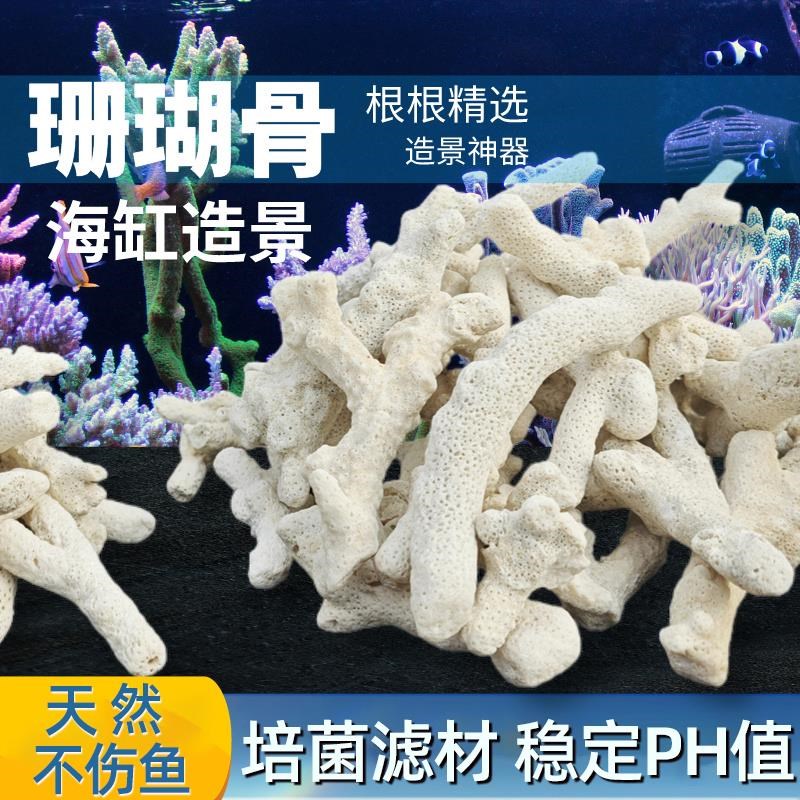 纯天然珊瑚骨鱼缸过滤材料净化珊瑚石造景骨底砂水族箱砂装饰滤材
