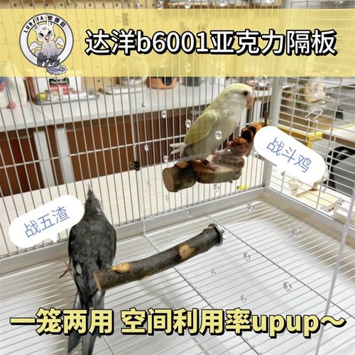 达洋B6001隔板鸟笼亚克力隔板鸟笼中间隔板达洋鸟笼隔板定制挡板