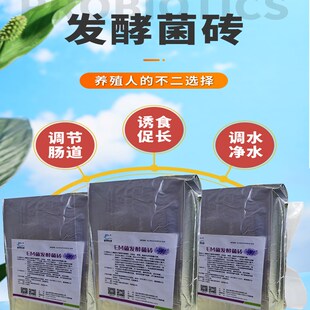 EM发酵菌砖 水产养殖用品 em菌种 EM菌砖乳酸菌砖 发酵EM菌液粉