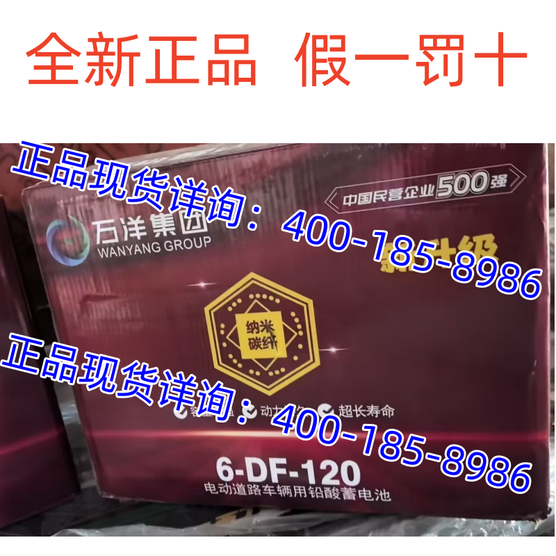 6-DF-120万洋电池电轿车6-EVF110