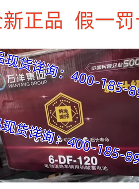 万洋电池6-DF-120四轮电动轿车 老年代步车用6-EVF-110铅酸干电瓶