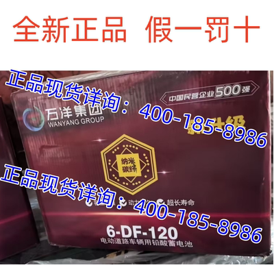 6-DF-120万洋电池电轿车6-EVF110