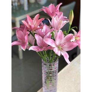 香水百合种球土培套装浓香型四季多苞花卉绿植盆栽庭院阳台多年生