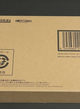 DX超合金 超时空要塞 VF31C SP包