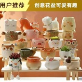 创意可爱动物卡通多肉陶瓷肉肉植物花盆简约特价 包邮 小盆批发清仓