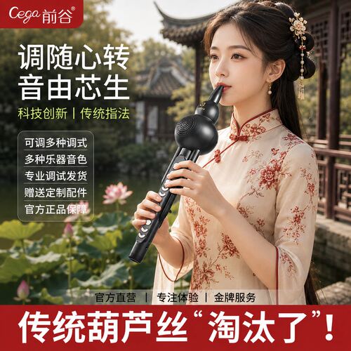 初学推荐防潮耐用轻松吹电葫芦丝