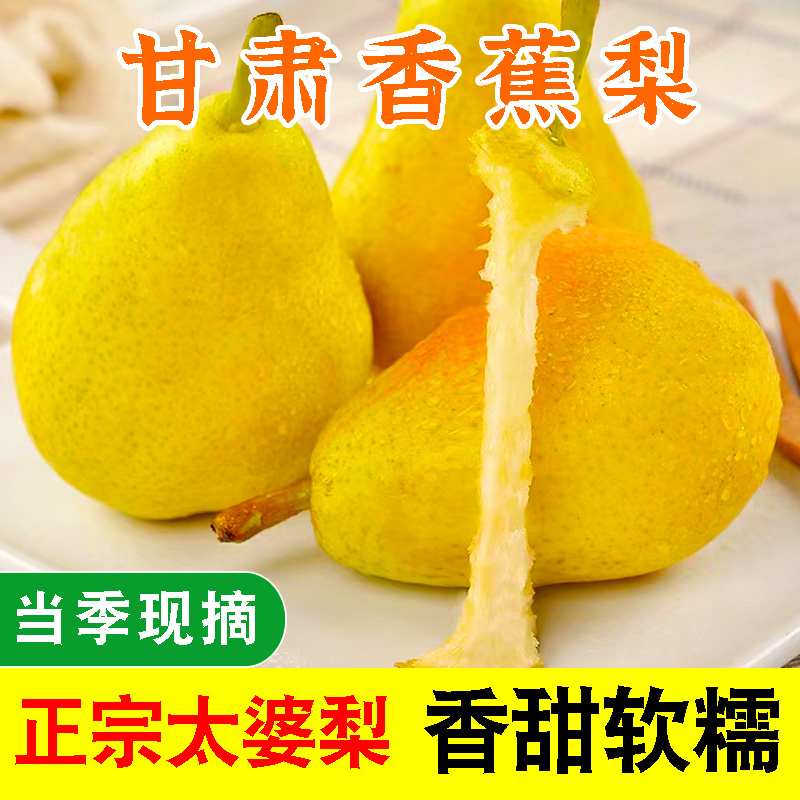 甘肃香蕉梨新鲜现摘太婆梨香甜