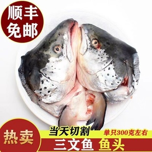 顺丰国产大个三文鱼头新鲜冷冻鱼头冰鲜海鲜水产炖汤烧烤食材商用