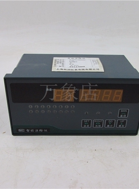智能巡检仪 SLRX8114000DH 1-5V 实物拍摄