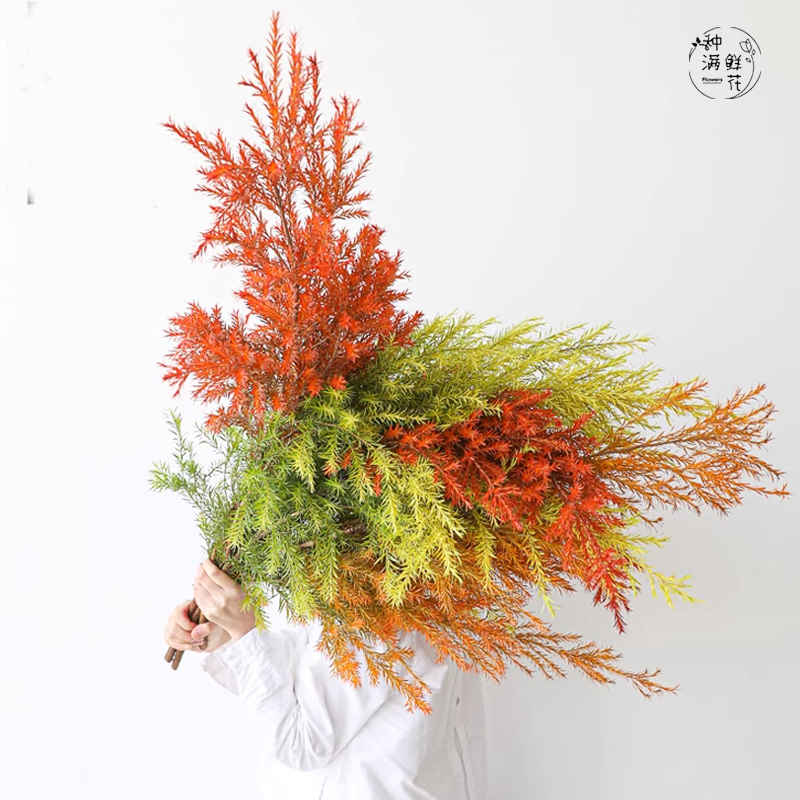 千层金鲜花水培插花干花圣诞花束