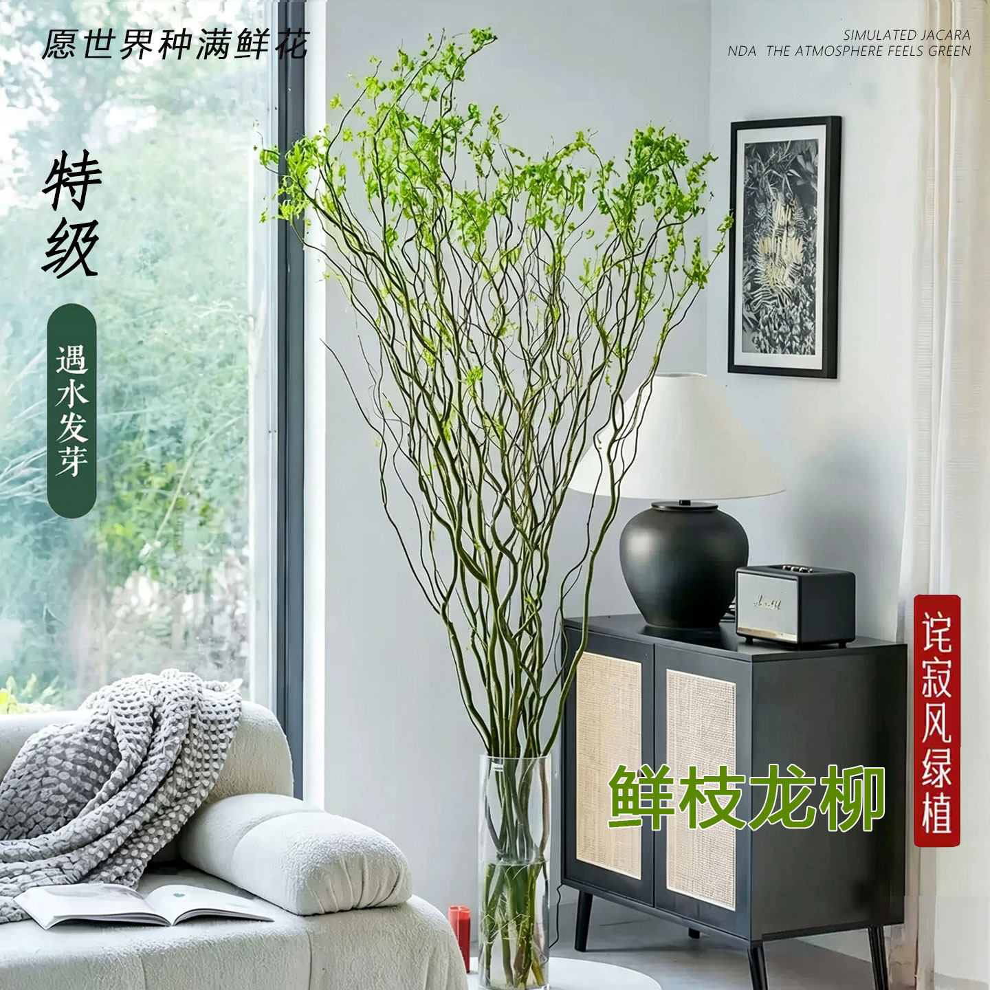 龙柳鲜枝水培植物室内绿植鲜切花室内吊钟装饰盆栽水养雪柳干枝