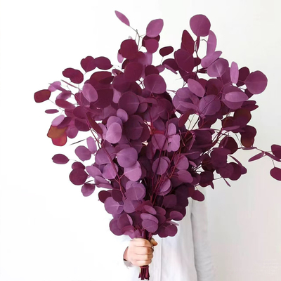 苹果尤加利叶永生花鲜花桌面摆件