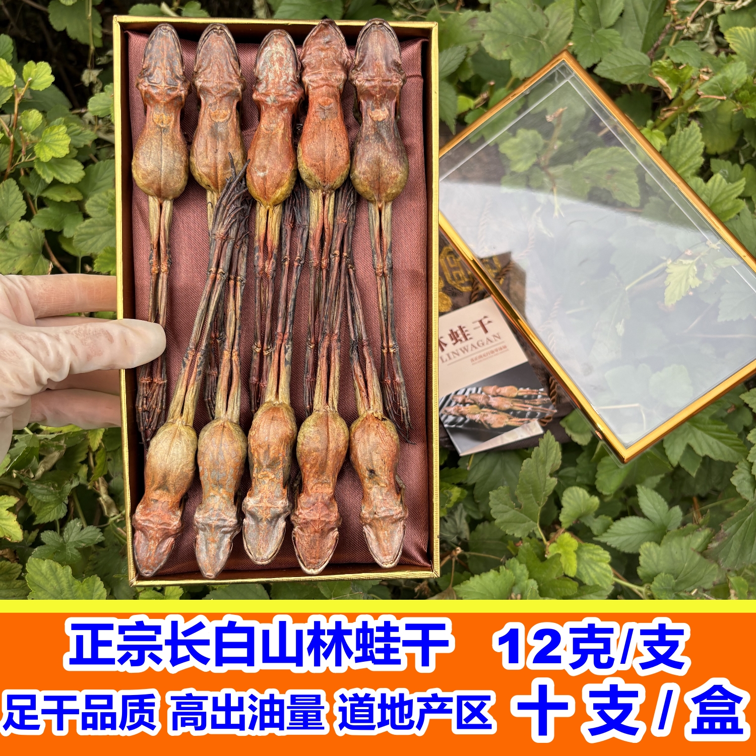 礼盒装雪蛤干长白山滋阴美容女性