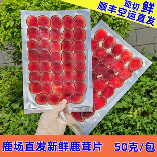 现切新鲜鹿茸片50克东北鹿乡双阳头茬二杠鲜鹿茸切片泡酒顺丰 包邮