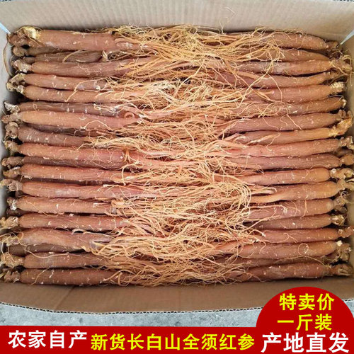 冲销量长白山全须整支红参500克20-25支红人参可切片6年根产地发 - 封面