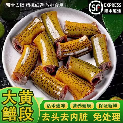 新鲜黄鳝段去头内脏半成品