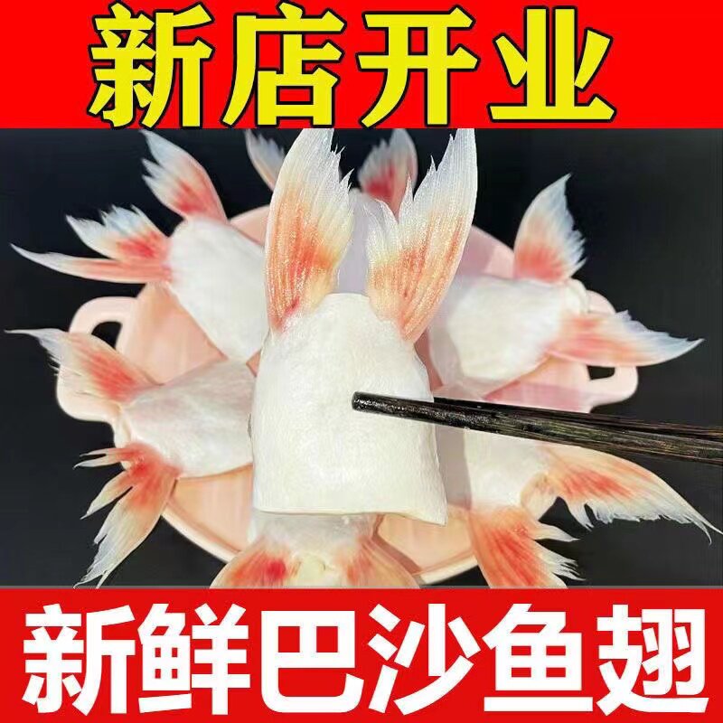 新鲜巴沙鱼鳍鱼肥油鱼刺鱼翅鱼肚肉鱼下巴淡水鱼肉冷冻美味好吃