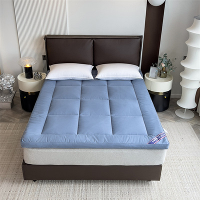 Tatami slow rebound soft home mattress foldable慢回弹软床垫