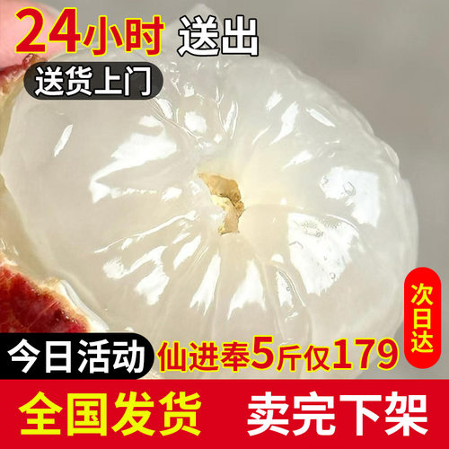 广州增城仙进奉荔枝鲜现摘现摘现发5斤礼盒大老树鲜果糯米10斤糍