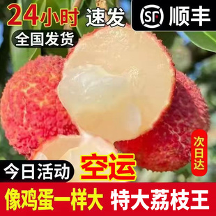 现货海南荔枝王火山口超特大荔枝当季应季礼盒装5斤巨无非无籽3