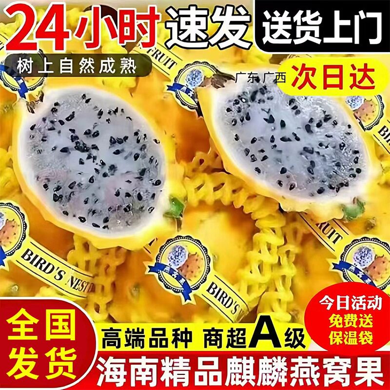 海南麒麟燕窝果当季孕妇黄皮火龙果非马来西亚进口新鲜黄金礼盒装