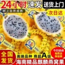 海南麒麟燕窝果当季 孕妇黄皮火龙果非马来西亚进口新鲜黄金礼盒装