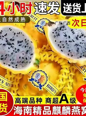海南麒麟燕窝果当季孕妇黄皮火龙果非马来西亚进口新鲜黄金礼盒装