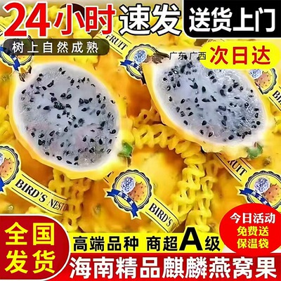 海南麒麟燕窝果当季孕妇黄皮火龙果非马来西亚进口新鲜黄金礼盒装