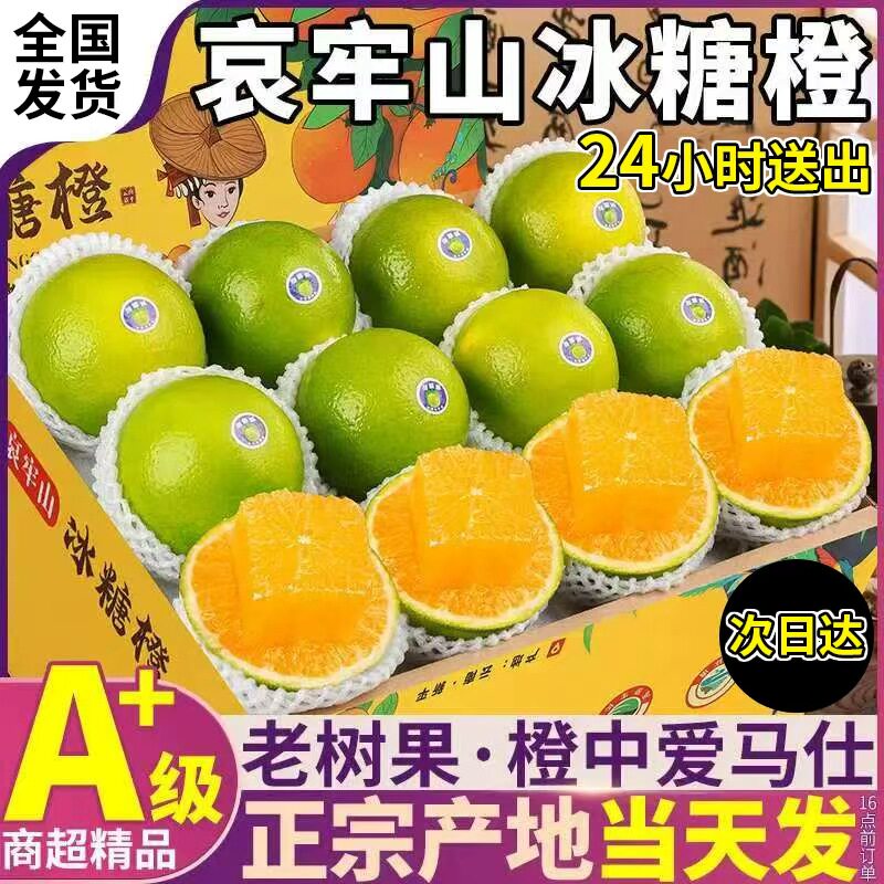 正宗云南玉溪冰糖橙柑新鲜青皮橙橙
