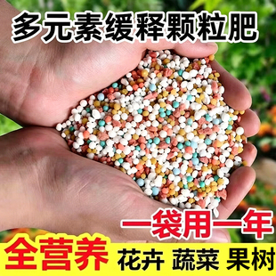 蔬菜专用肥料氮磷钾三元复合肥果树花卉有机肥史通用丹利园艺家用