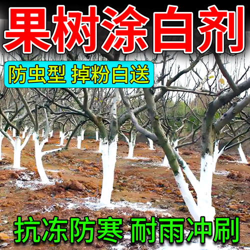 树木涂白剂果树防寒抗冻刷白粉剂