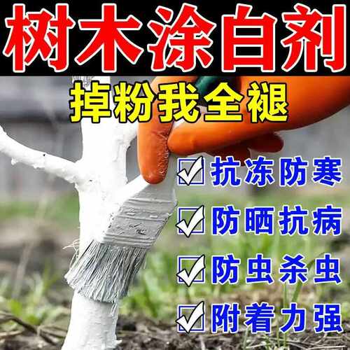 树干涂白剂果树涂白防虫防日灼