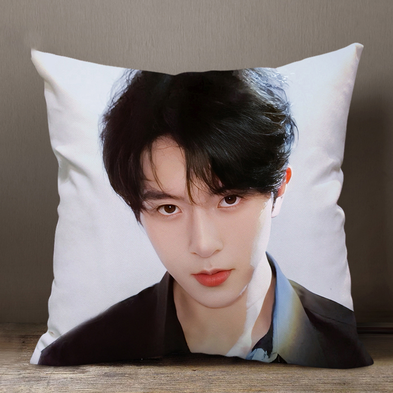 邱鼎杰垂涎盛少游周边抱枕定制