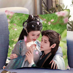 成何体统周边双面抱枕丞磊王楚然夏侯澹庾晚音靠垫带枕芯礼物定制