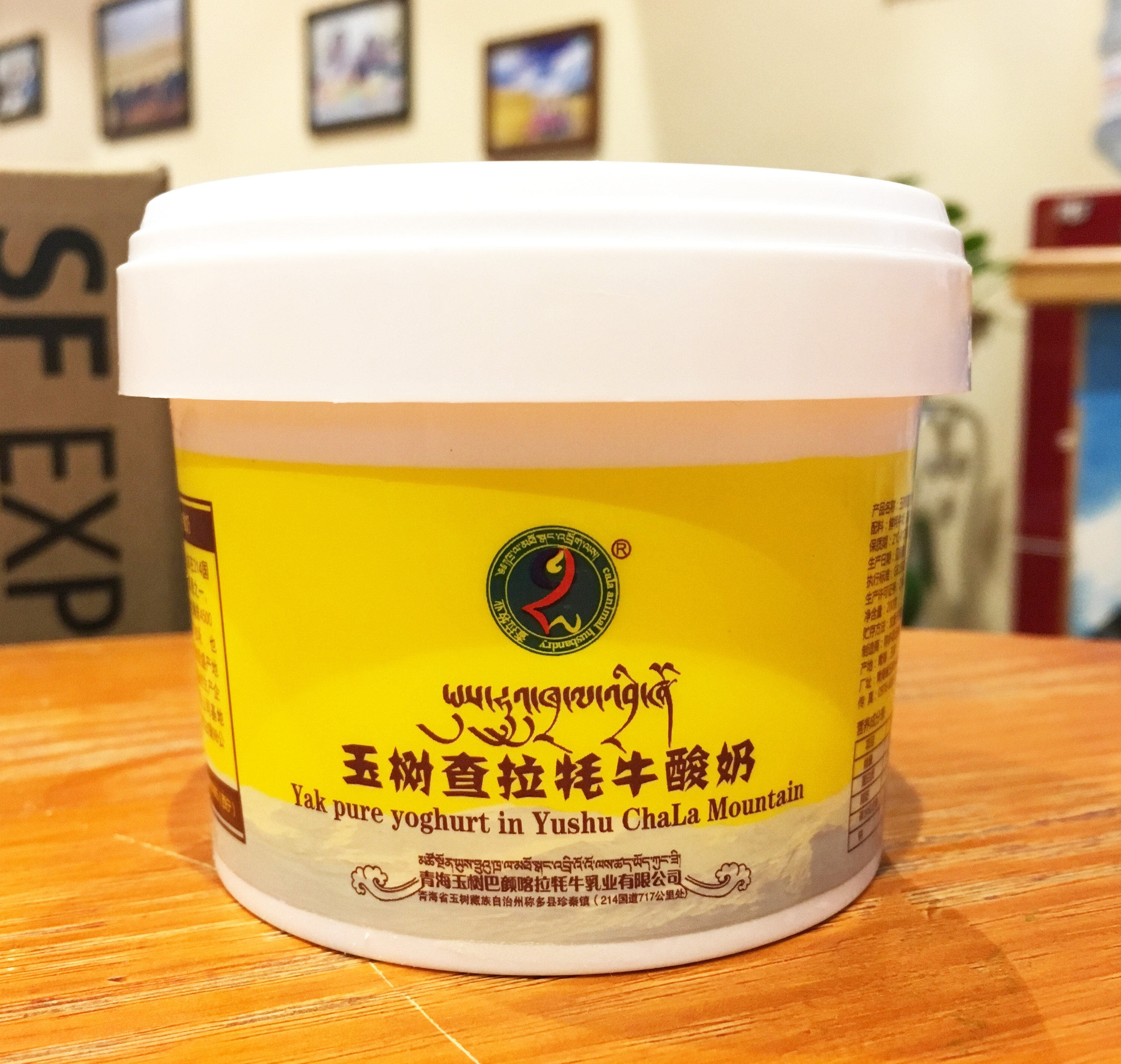 查拉乳业牦牛酸奶无添加无糖原味老酸奶200g10罐高端营养饮品