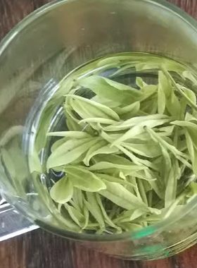 新茶叶 安吉白茶 办公用茶 高山茶 绿茶 四级250克装