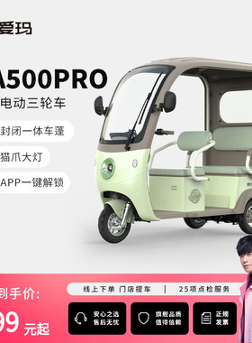【河南河北山东安徽门店自提】爱玛乐淘CA500pro带棚电动三轮车