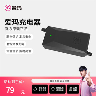 爱玛专用电动车新国标原装铅酸电瓶车充电器