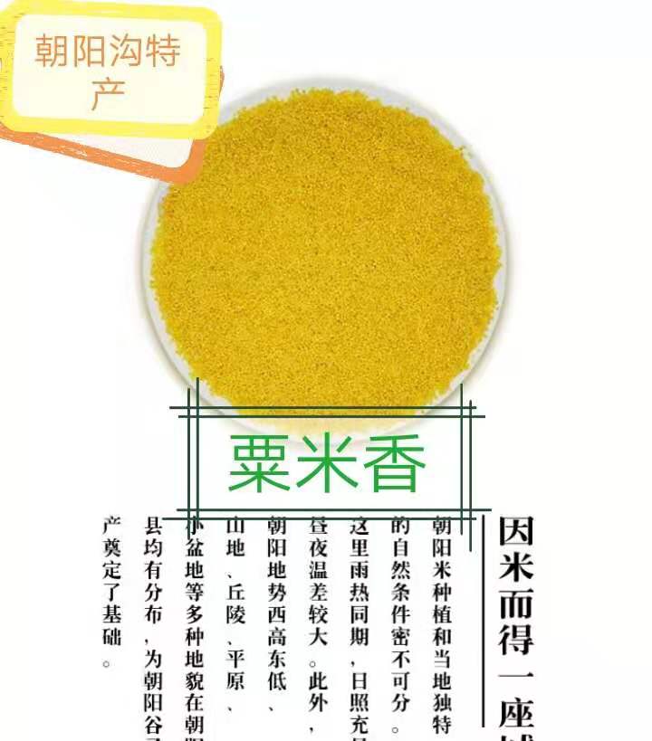 五斤包邮朝阳农家黄金苗新鲜小米东北特产粗杂粮吃的红谷月子粥