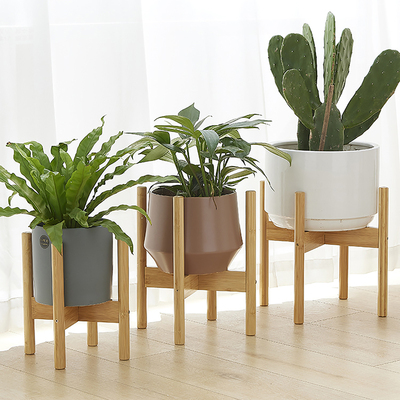 花架室内落地式花盆托架绿萝摆放