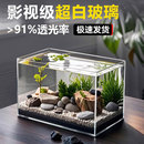 超白鱼缸客厅小型金晶玻璃方形乌龟生态水族箱家桌面专用 2025新款