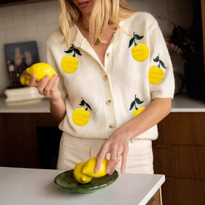 Women's spring summer short sleeved casual knitted sweater