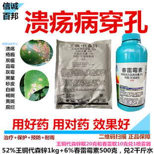 果树溃疡病农药 52%王铜代森锌+6%春雷霉素穿孔 柑橘真菌细菌杀菌