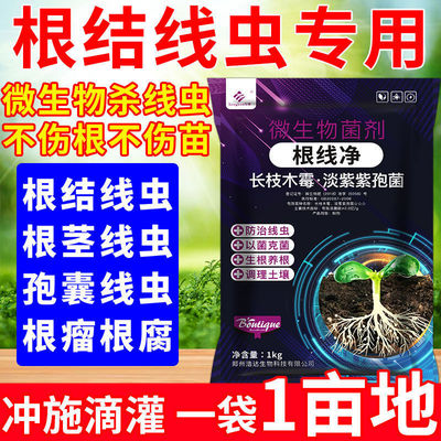 根线净长枝木霉菌枯草微生物剂利根砂抑线虫缺素黄叶根部腐除线虫