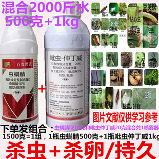 吡虫仲丁威+虫螨腈蚜虫蓟马叶蝉白粉虱潜叶蛾青虫兼卵杀虫剂农药