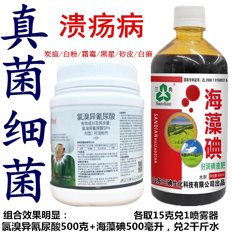 氯溴异氰尿酸溃疡病腐烂病霜霉病