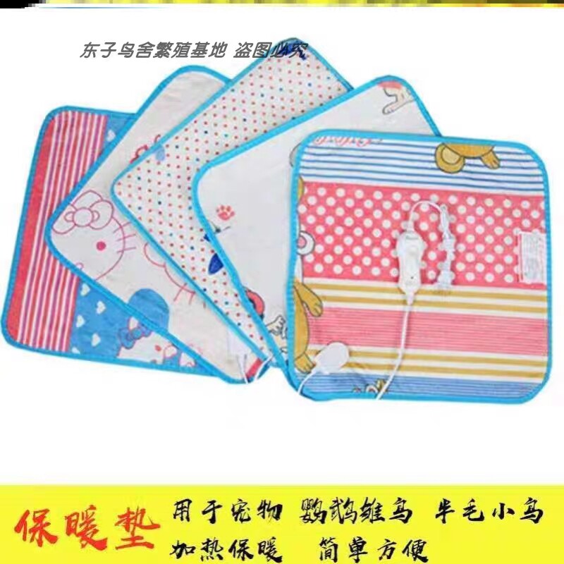 宠物活体鹦鹉雏鸟保暖加热垫保温虎皮牡丹玄凤半毛加温垫小鸟包邮
