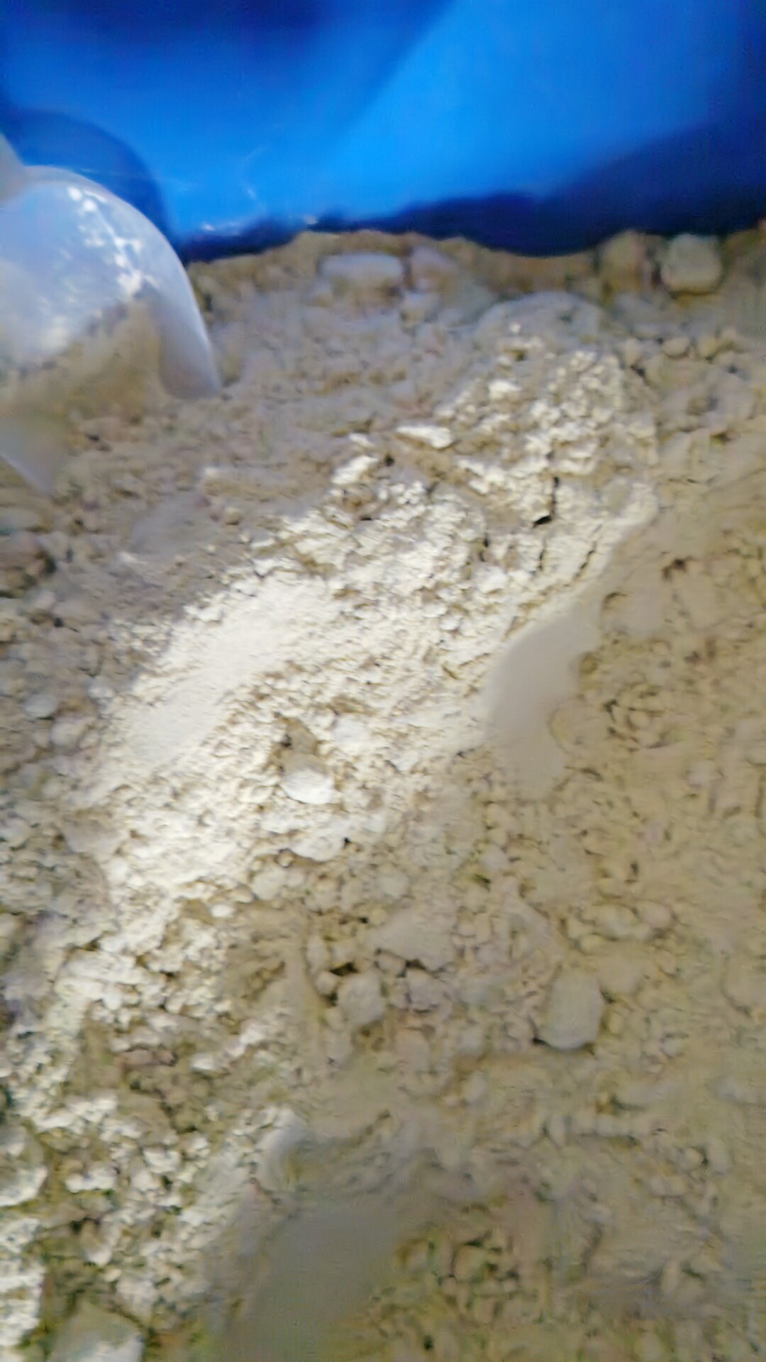 通用鹦鹉奶粉虎皮牡丹玄风鹦鹉专用手养鸟饲料幼鸟雏鸟营养奶粉