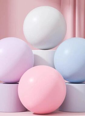 25cm Physical Theapy and Balance Execise Ball 25cm 10Inch