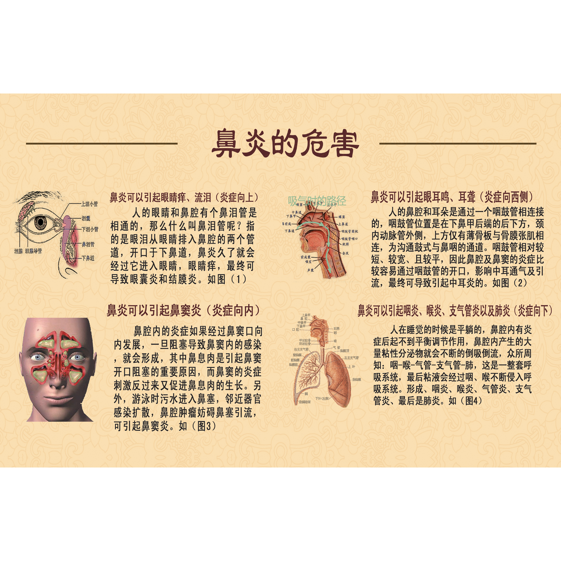 鼻炎的危害海报　中医养生耳喉鼻科挂图 耳鼻喉结构解剖图片